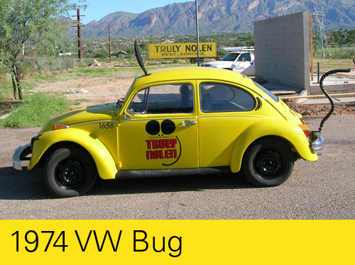 1974 VW Bug