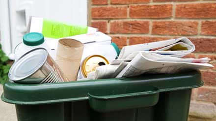 Pest Problem Areas: Garbage Containers - Trash