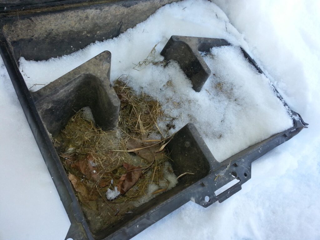 Rat's Nest in Oakville, ON