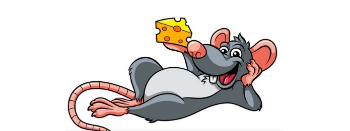 Rat Traps are Effective, But Why are Rats Hard to Trap? Rat Traps are Effective, But Why are Rats Hard to Trap?