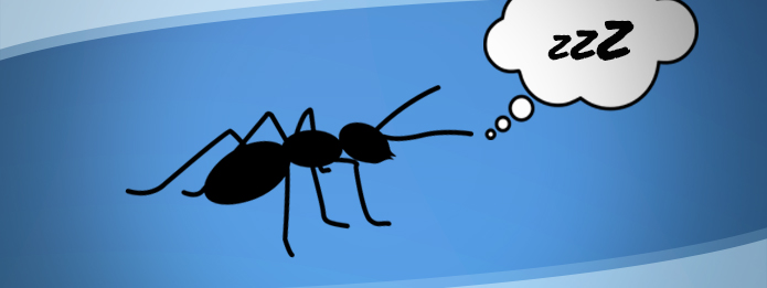 Truly Nolen Pest Control: When Do Ants Sleep? - Truly Nolen Canada
