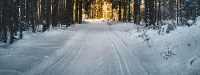Does Cold and Snow Affect Pest Populations