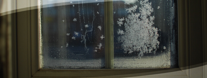 Is Pest Control Necessary During the Winter Months