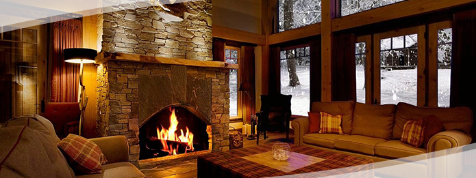 Can You Find Earwigs in Your Home During Winter?