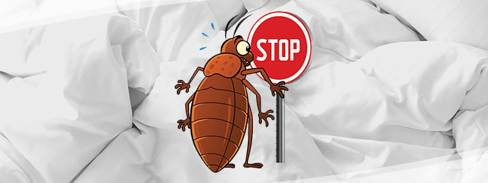 How Does Truly Nolen Remove Bed Bugs?
