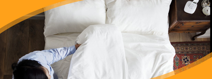 How to get rid of bed bugs and take back your condo