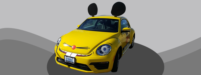 Summer Rodent Control and COVID19 Management