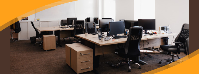 Can Bed Bugs Invade an Office?