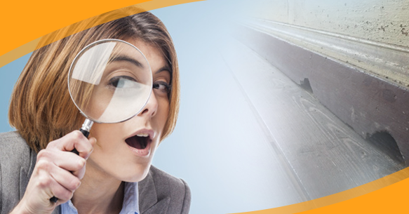 How To Identify and Prevent Pest Infestations in Your Home