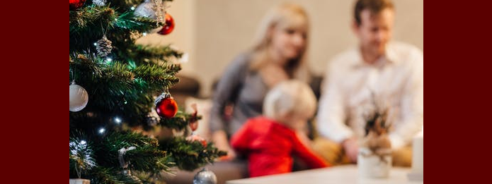 Don't Let Pests Bug You This Holiday Season