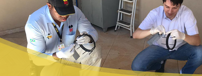 Protecting Your Business With an Effective Pest Control Service