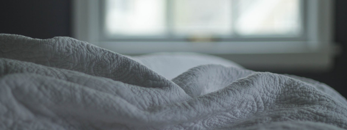 Where do Bed Bugs Hide During the Day