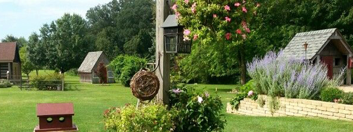 How To Deal With Rodents In Your Garden