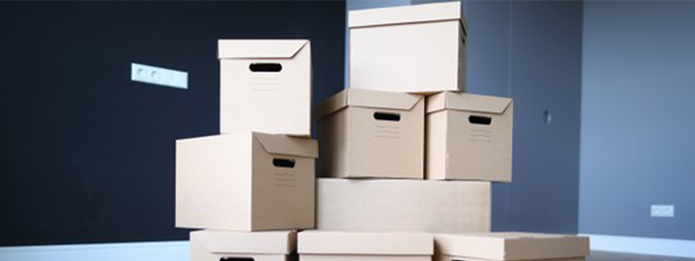 Why You Shouldn’t Keep Cardboard Boxes in Your Attic or Basement