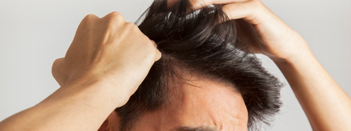 Can Bed Bugs Get? In Your Hair