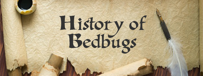 history of bedbugs