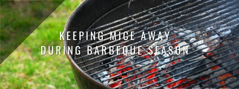 Keeping Mice Away During Barbeque Season 1
