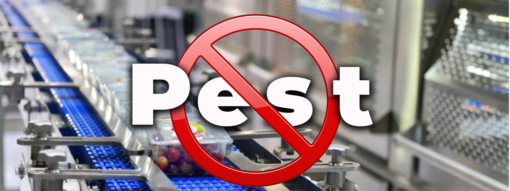 How To Keep Pests Out of Your Food Manufacturing Business