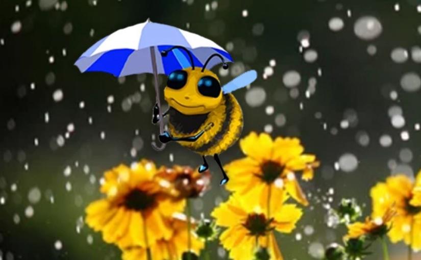 Halifax Pest Control: Can Bees Fly in The Rain?