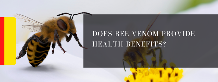 Does Bee Venom Provide Health Benefits_