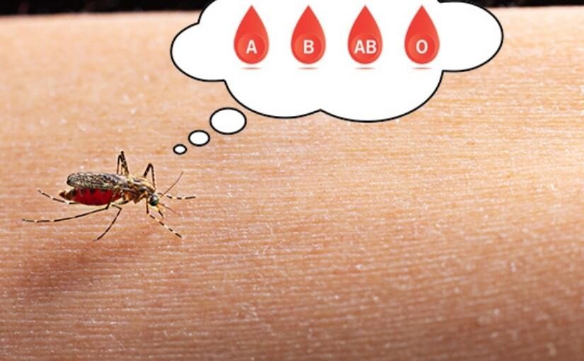 Do Mosquitoes Prefer A Certain Blood Type?