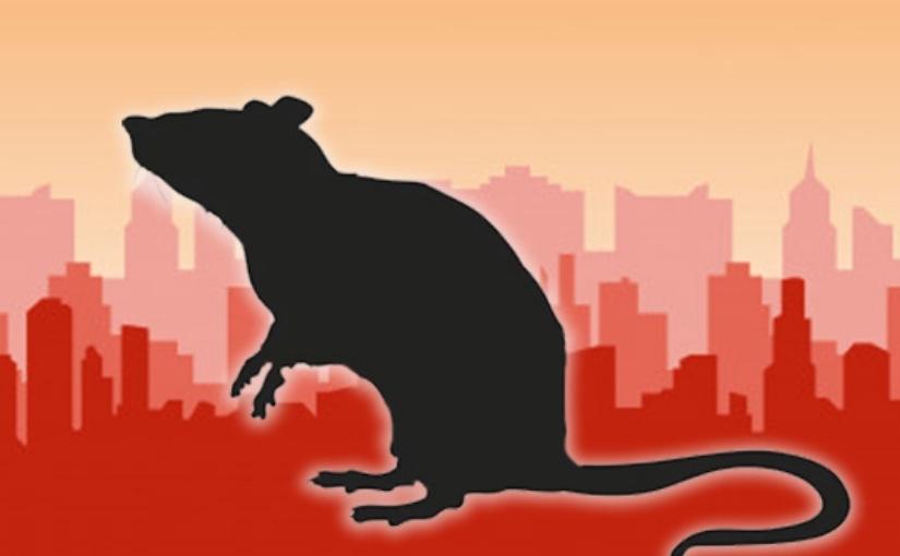 Vaughan Pest Control: Dangers of Rodents in Your Place of Business