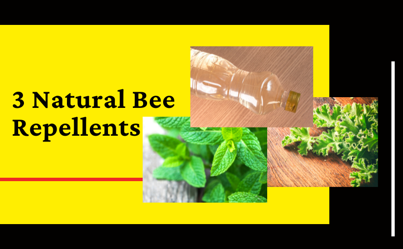 3 Natural Bee Repellents 2