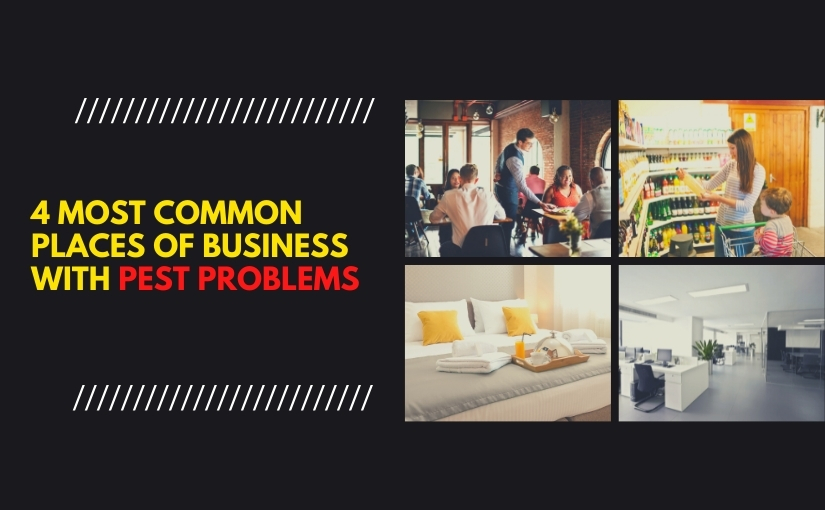 4 Most Common Places of Business With Pest Problems