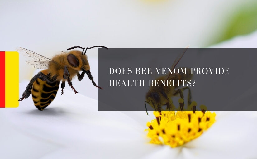 Does Bee Venom Provide Health Benefits_
