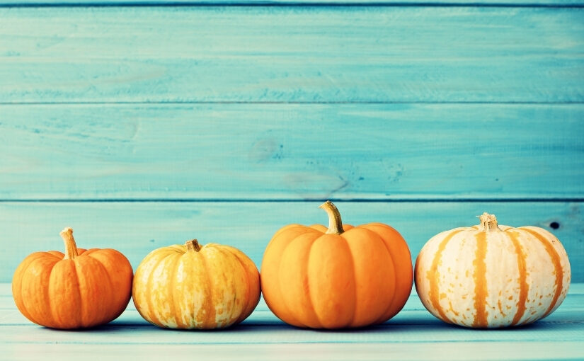 How to keep your pumpkins safe from insects
