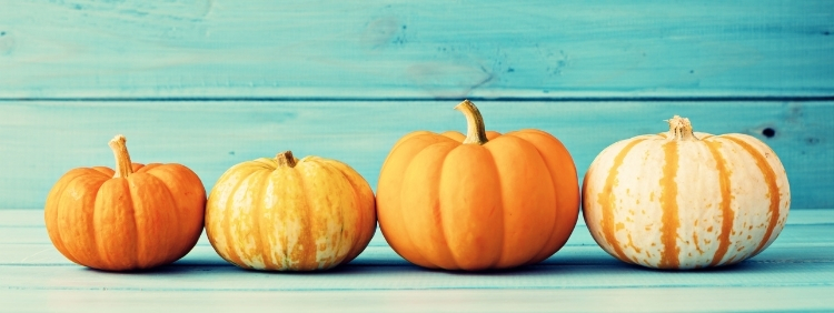 Keep pumpkin safe