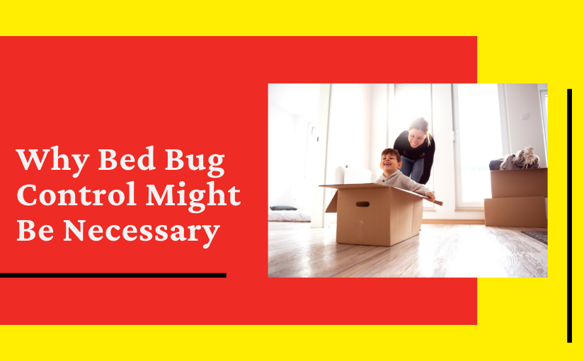 Why Bed Bug Control Might Be Necessary (1)
