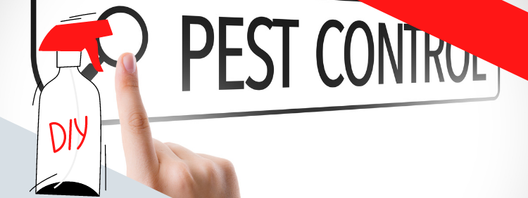 Why DIY Pest Control in Your Waterloo Home Is Hard?