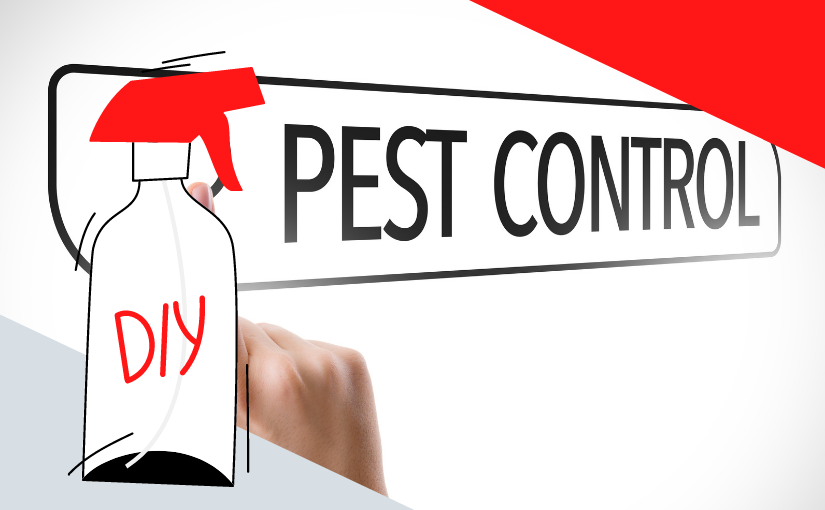 Why DIY Pest Control in Your Waterloo Home Is Hard?