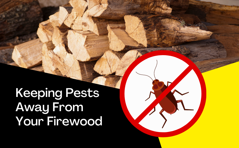 Keeping Pests Away From Your Firewood (1)