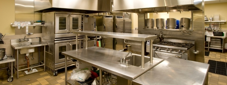 Pest Control For Commerical Kitchens