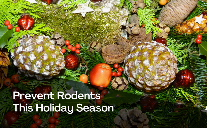 Prevent Rodents This Holiday Season With Truly Nolen (1)