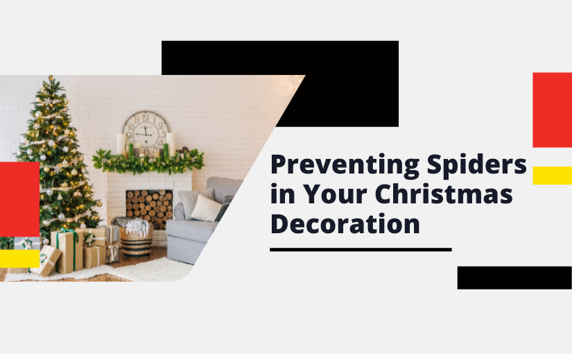 Preventing Spiders in Your Christmas Decoration (1)