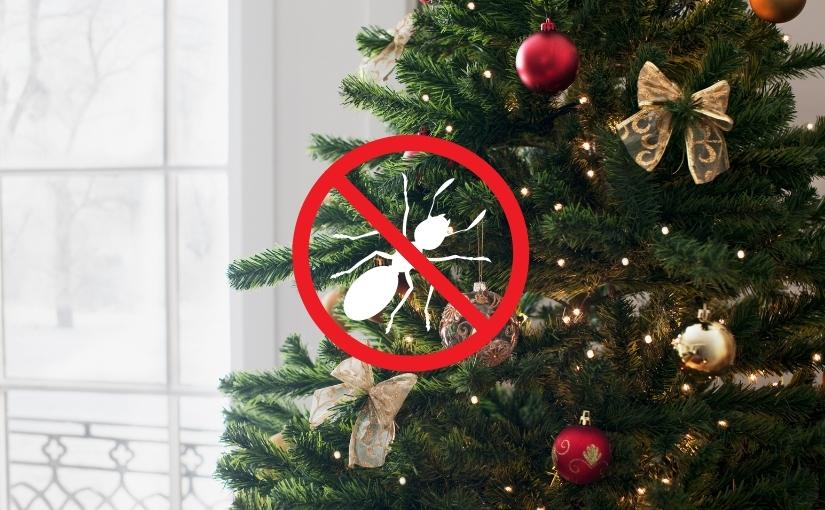 Markham Pest Control: Keep Your Christmas Tree Ant-Free