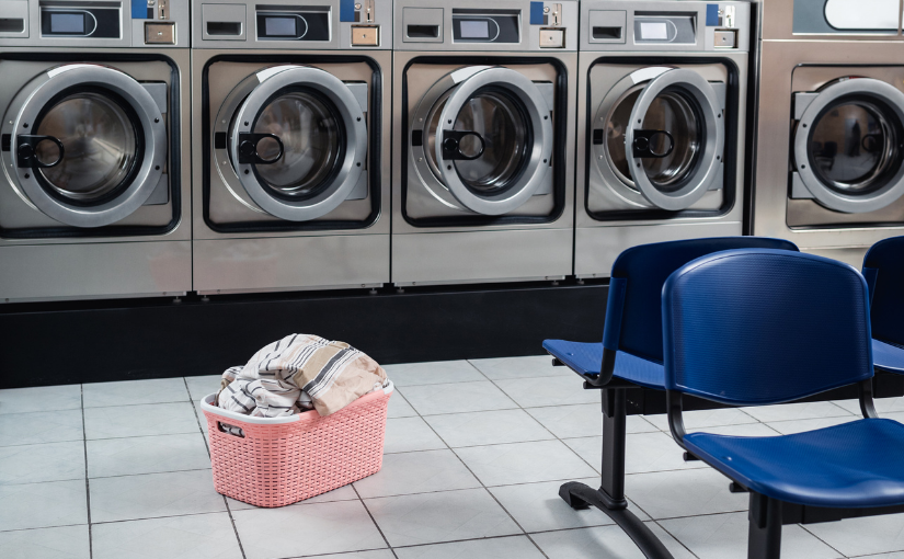Pest Control For Your Laundromat (1)