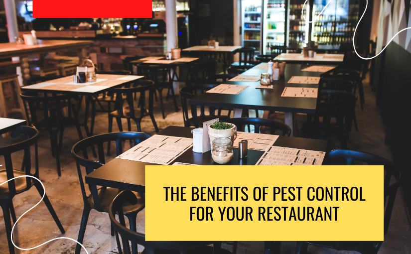 The Benefits of Pest Control for Your Restaurant (1)