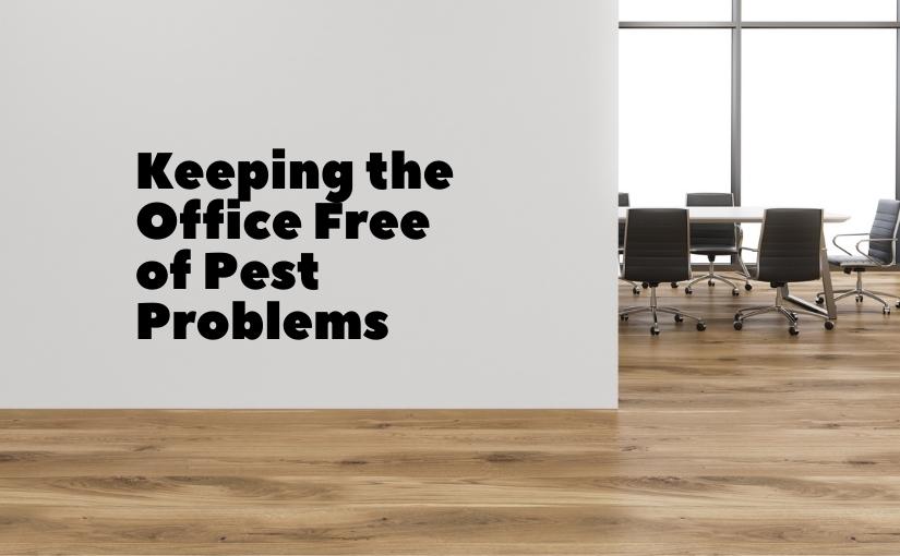 Keeping the Office Free of Pest Problems in Toronto
