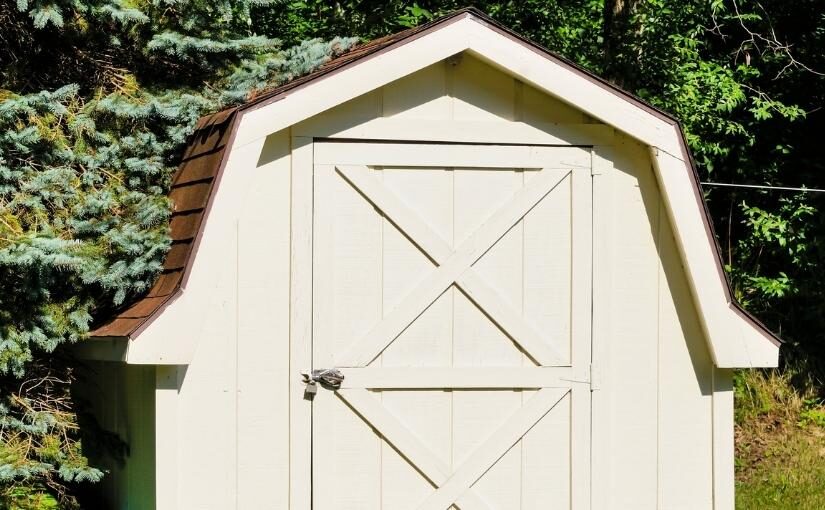Milton Pest Control 4 Ways To Keep Mice Out Of Your Shed825x510