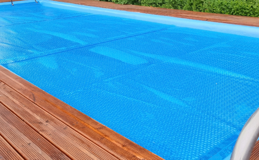 Preventing Mice From Falling In Your Pool This Summer (3)
