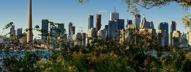 3 Reasons To Expect Pests This Summer In Toronto