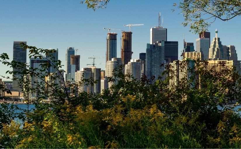3 Reasons To Expect Pests This Summer In Toronto
