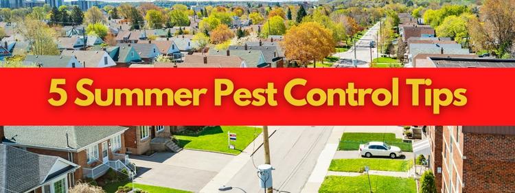 5 Summer Pest Control Tips for Brampton Homeowners