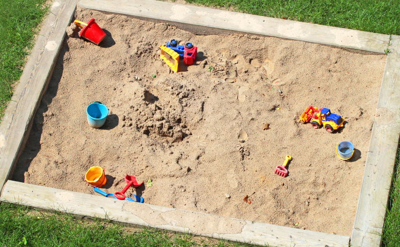 Tips to Prevent Carpenter Ants In Your Sandbox (3)