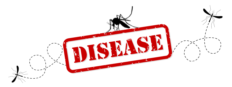 What Diseases Do Mosquitoes Spread_
