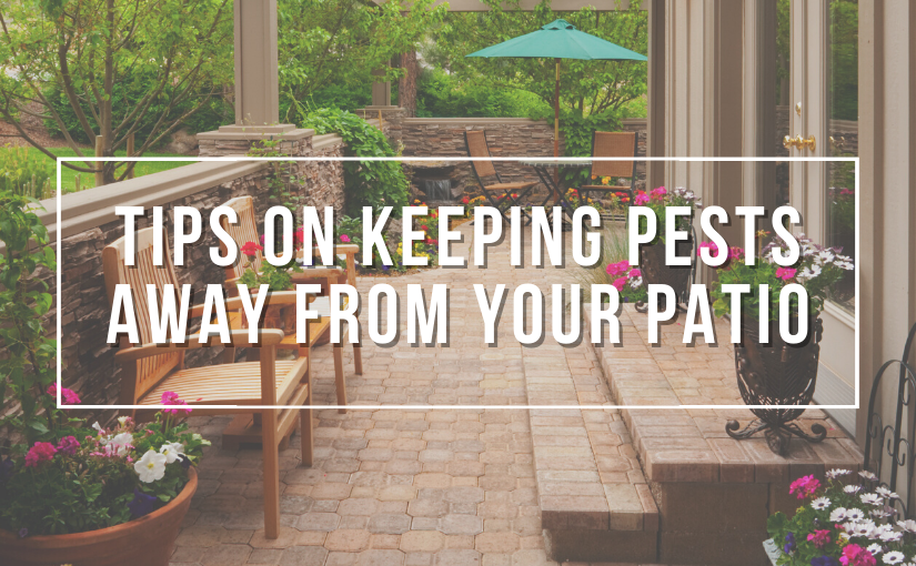 Toronto Pest Control: Tips On Keeping Pests Away From Your Patio
